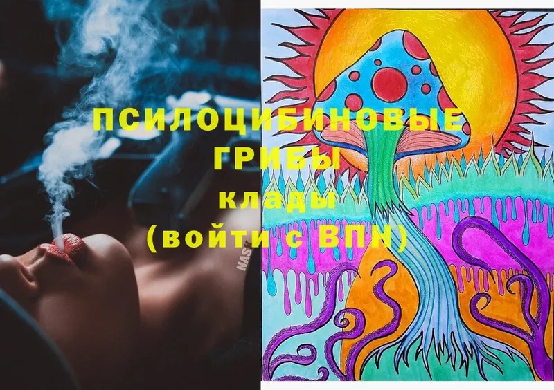 shop официальный сайт  Азнакаево  Галлюциногенные грибы Cubensis 